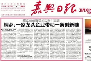 嘉興日報(bào)頭版頭條點(diǎn)贊！桐鄉(xiāng)：一家龍頭企業(yè)帶動(dòng)一條創(chuàng)新鏈
