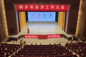 【菊鄉(xiāng)快評】經(jīng)濟(jì)工作大會(huì)上，桐鄉(xiāng)市委書記為何重點(diǎn)講巨石的電子布？