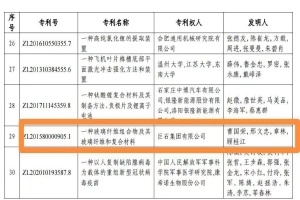 嘉興首金！巨石集團(tuán)摘得中國專利獎(jiǎng)金獎(jiǎng)