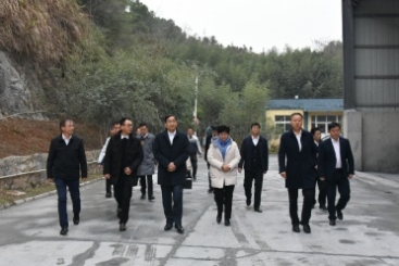中國建材集團(tuán)黨委書記、董事長周育先調(diào)研巨石九江鈣業(yè)公司